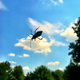 Illustration for article titled Shooting Challenge: Bugs 2